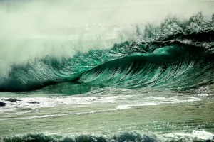 release wave 2023